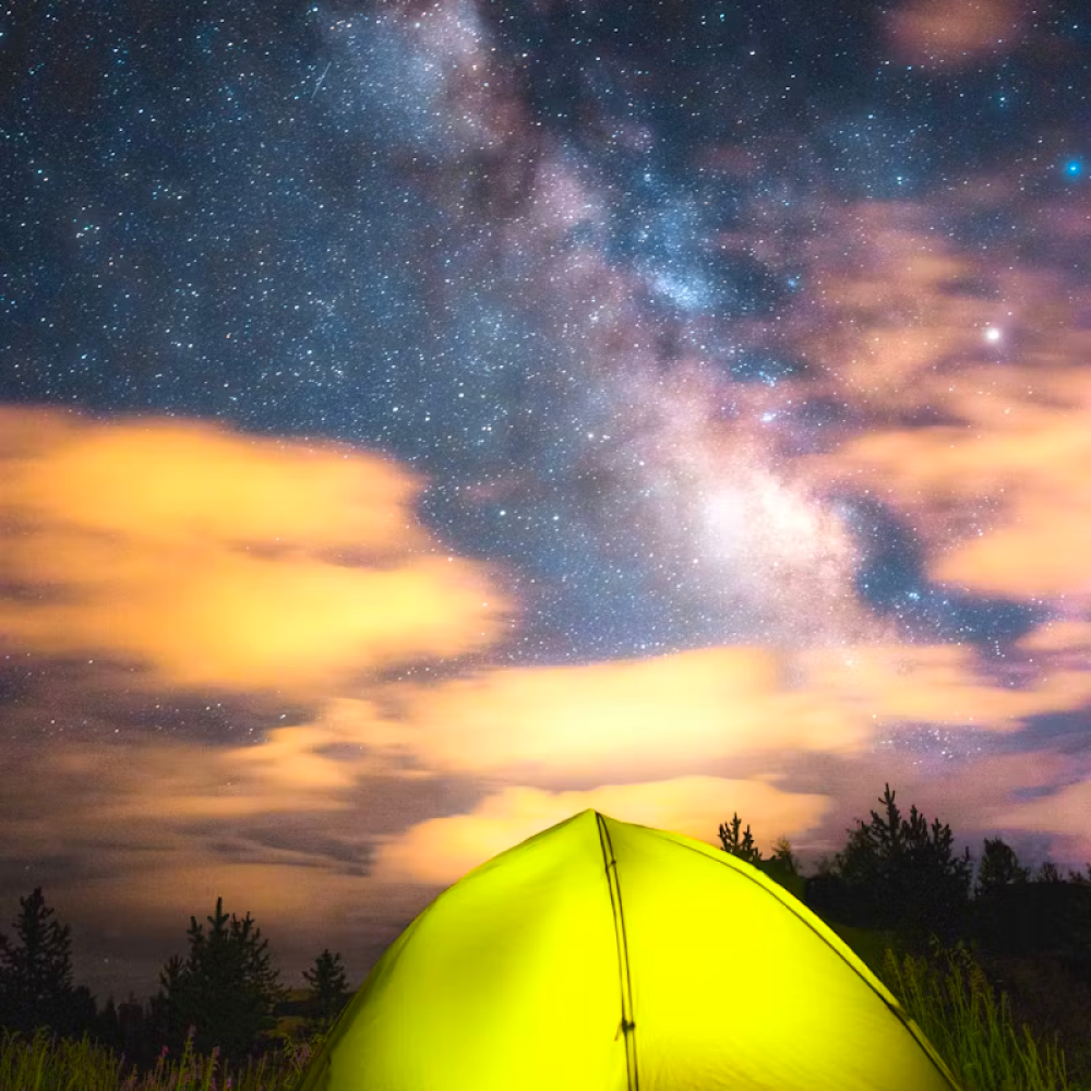 Dine & Entertain in Style